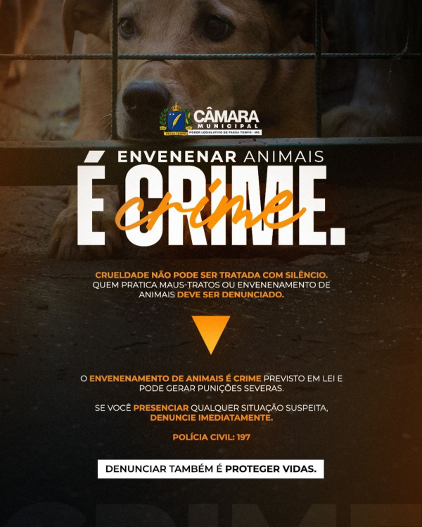 Envenenar animais é crime