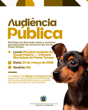 Audiência Pública