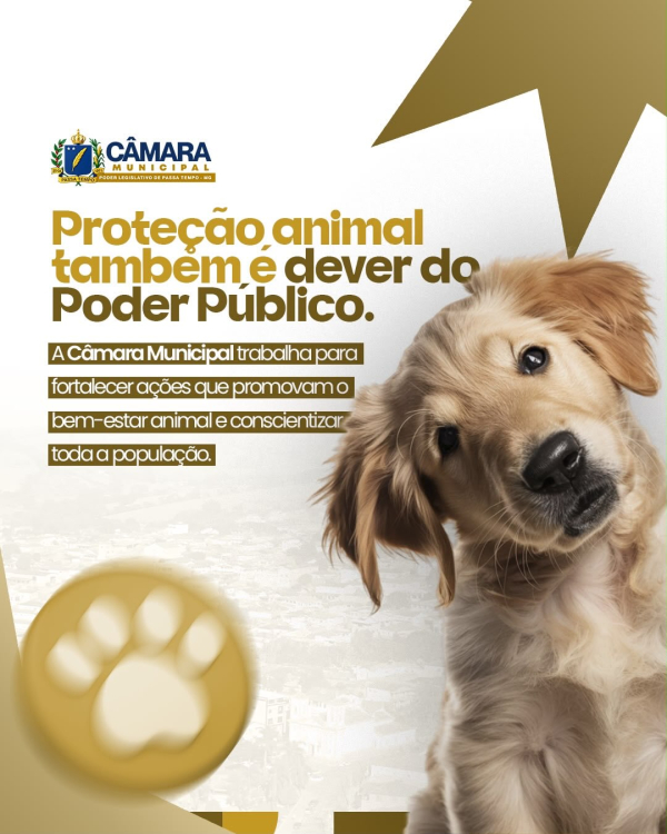 Proteção animal é compromisso de toda a sociedade.